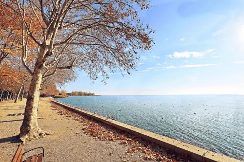 Élvezzük a nyarat, Balatonfüreden és a Pe-Ki Lux Apartmanban