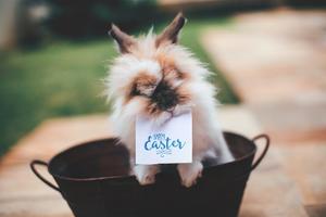 A húsvét új hagyományai: ünneplés wellness hotelben - húsvét