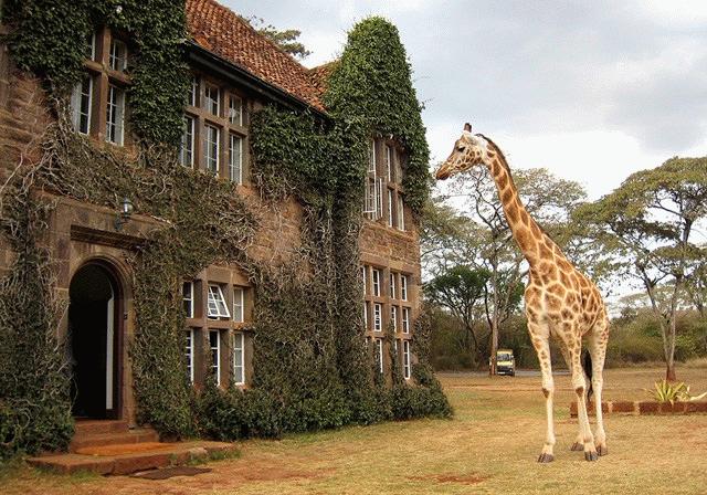 Kenya különleges szállodája