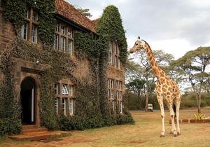 Kenya különleges szállodája
